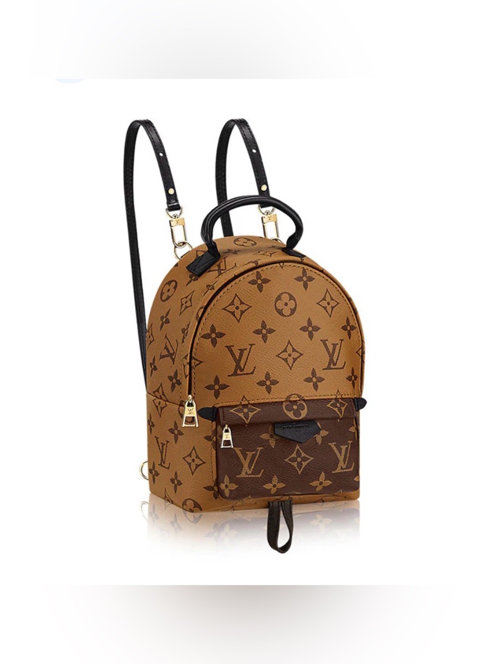 Authentic Louis Vuitton Reverse Monogram Palm Springs Mini Backpack / Bag - Picture 11 of 16